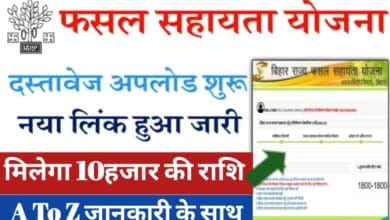 e9a87c4f 753c 4ab5 84b1 c9410ec7cedf